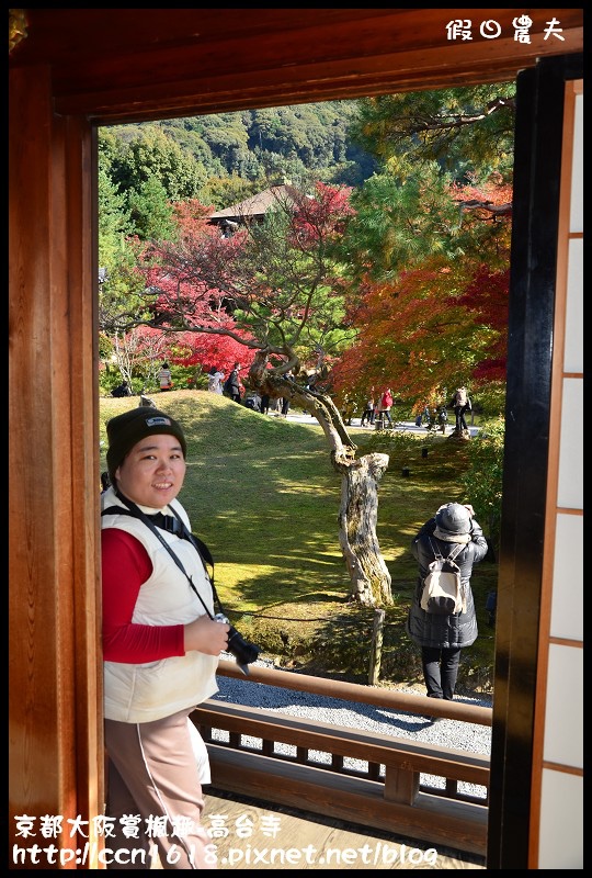 【日本旅遊】京都大阪賞楓自由行‧高台寺‧為你楓狂 @假日農夫愛趴趴照