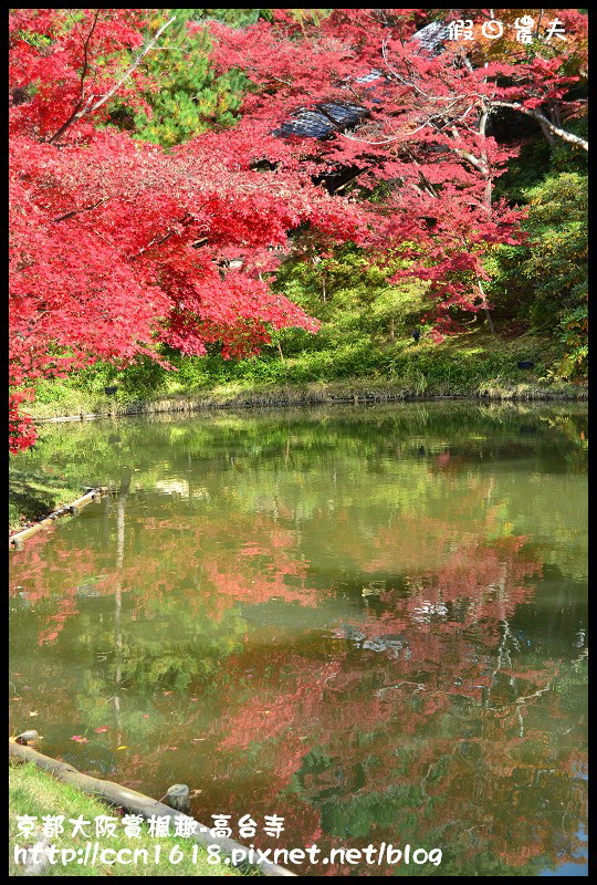 【日本旅遊】京都大阪賞楓自由行‧高台寺‧為你楓狂 @假日農夫愛趴趴照