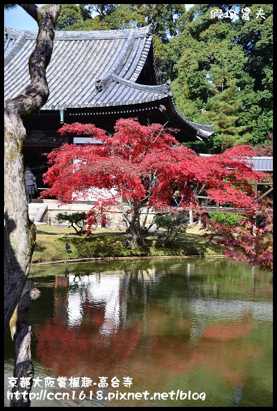 【日本旅遊】京都大阪賞楓自由行‧高台寺‧為你楓狂 @假日農夫愛趴趴照