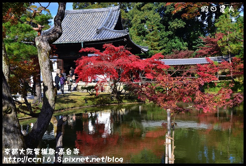 【日本旅遊】京都大阪賞楓自由行‧高台寺‧為你楓狂 @假日農夫愛趴趴照