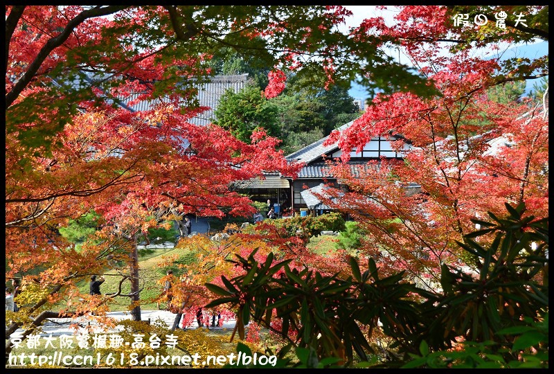 【日本旅遊】京都大阪賞楓自由行‧高台寺‧為你楓狂 @假日農夫愛趴趴照