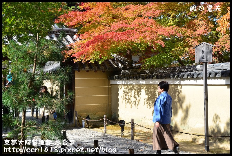 【日本旅遊】京都大阪賞楓自由行‧高台寺‧為你楓狂 @假日農夫愛趴趴照