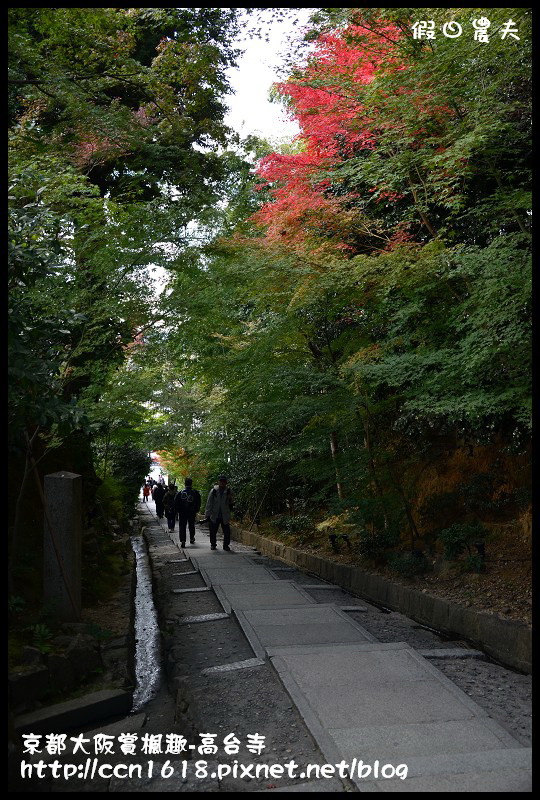 【日本旅遊】京都大阪賞楓自由行‧高台寺‧為你楓狂 @假日農夫愛趴趴照