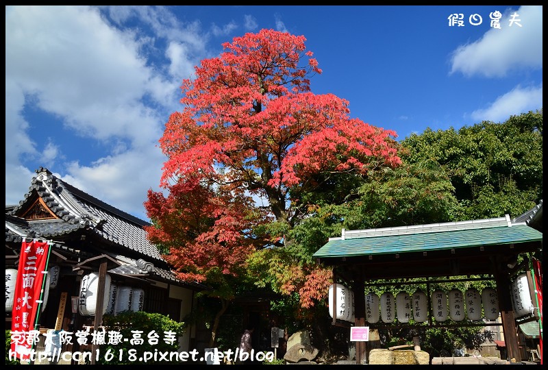 【日本旅遊】京都大阪賞楓自由行‧高台寺‧為你楓狂 @假日農夫愛趴趴照