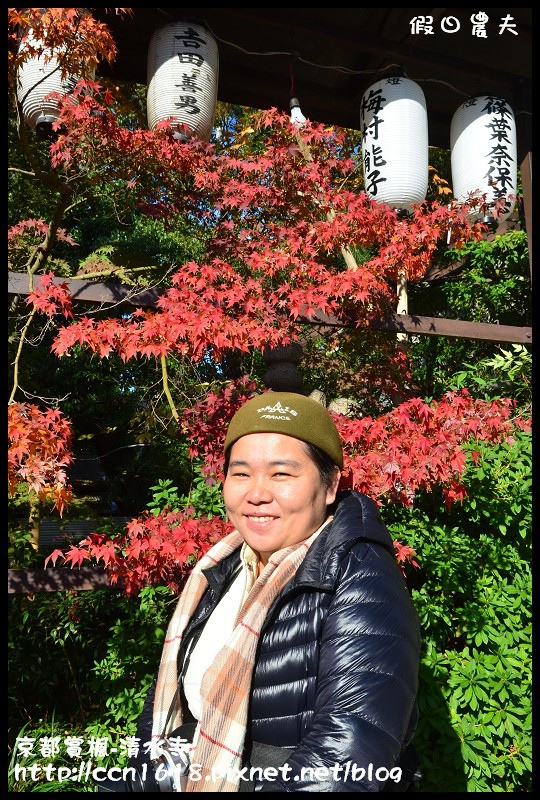 【日本旅遊】京都大阪賞楓自由行‧清水寺‧楓起雲湧 @假日農夫愛趴趴照