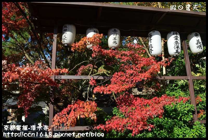 【日本旅遊】京都大阪賞楓自由行‧清水寺‧楓起雲湧 @假日農夫愛趴趴照