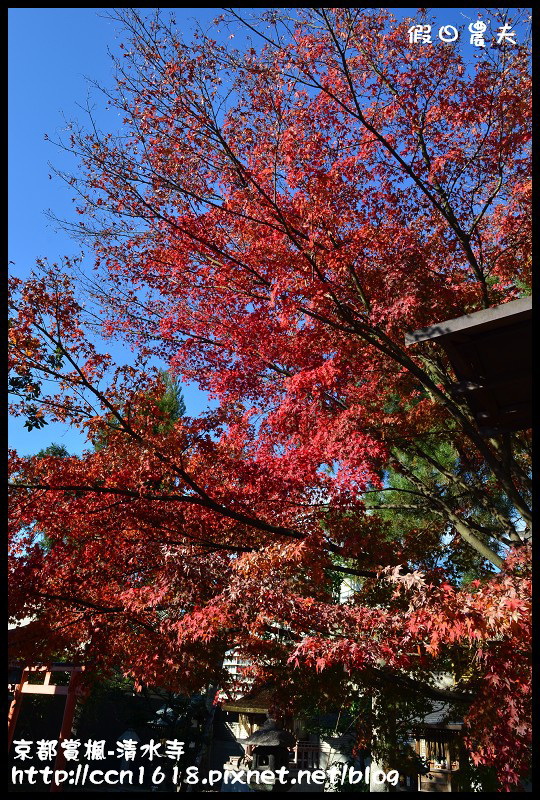 【日本旅遊】京都大阪賞楓自由行‧清水寺‧楓起雲湧 @假日農夫愛趴趴照