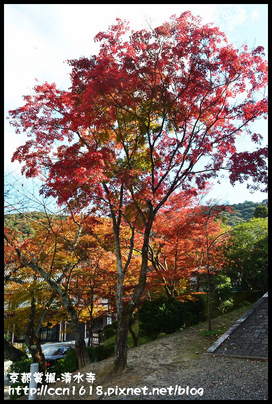 【日本旅遊】京都大阪賞楓自由行‧清水寺‧楓起雲湧 @假日農夫愛趴趴照