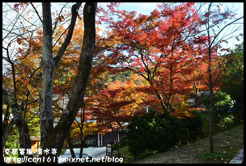 【日本旅遊】京都大阪賞楓自由行‧清水寺‧楓起雲湧 @假日農夫愛趴趴照