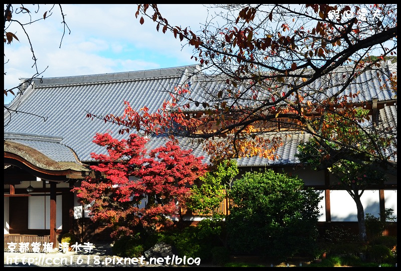 【日本旅遊】京都大阪賞楓自由行‧清水寺‧楓起雲湧 @假日農夫愛趴趴照