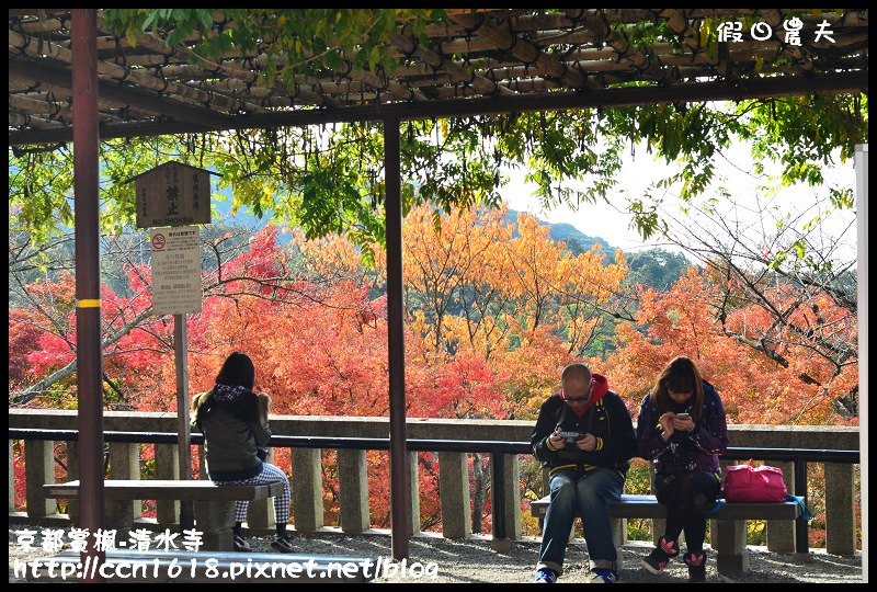 【日本旅遊】京都大阪賞楓自由行‧清水寺‧楓起雲湧 @假日農夫愛趴趴照