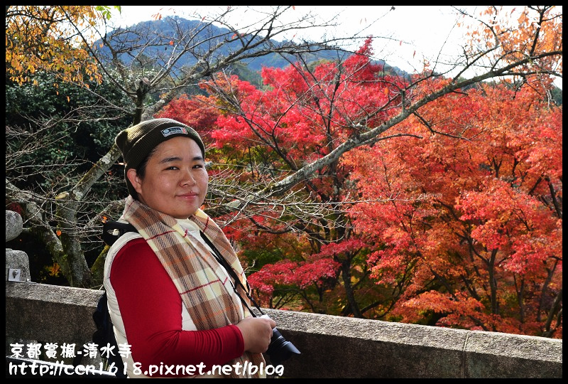 【日本旅遊】京都大阪賞楓自由行‧清水寺‧楓起雲湧 @假日農夫愛趴趴照