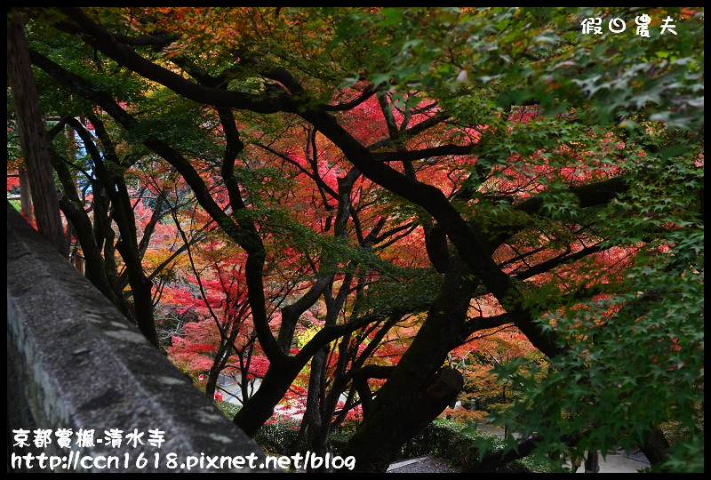 【日本旅遊】京都大阪賞楓自由行‧清水寺‧楓起雲湧 @假日農夫愛趴趴照