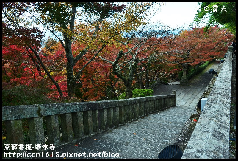 【日本旅遊】京都大阪賞楓自由行‧清水寺‧楓起雲湧 @假日農夫愛趴趴照