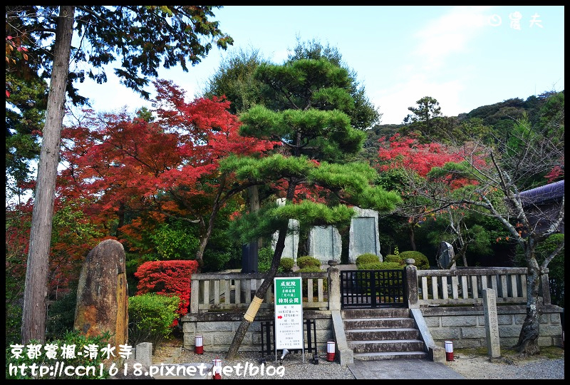 【日本旅遊】京都大阪賞楓自由行‧清水寺‧楓起雲湧 @假日農夫愛趴趴照