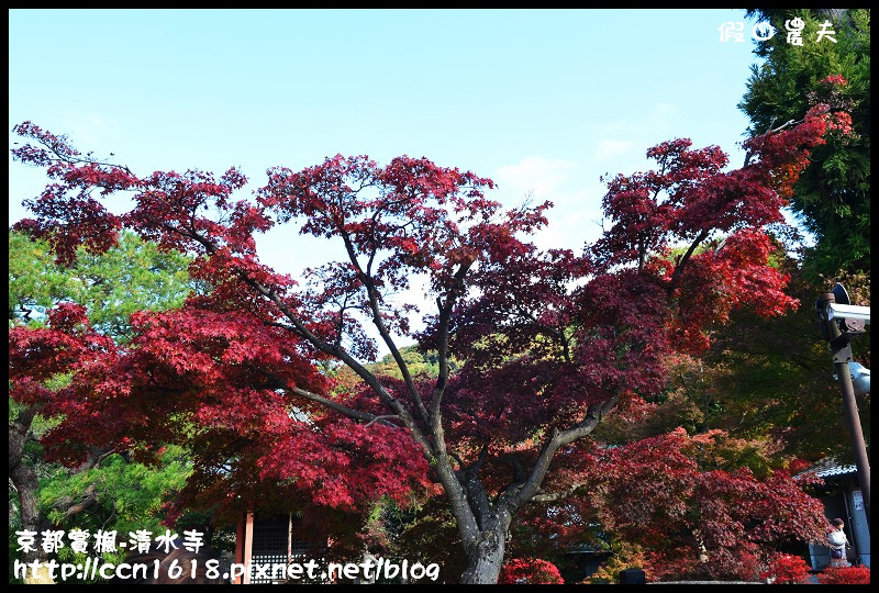 【日本旅遊】京都大阪賞楓自由行‧清水寺‧楓起雲湧 @假日農夫愛趴趴照