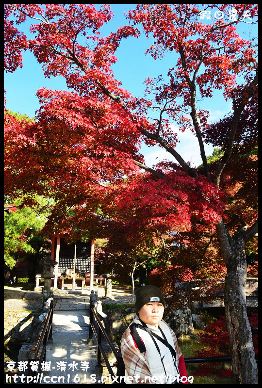 【日本旅遊】京都大阪賞楓自由行‧清水寺‧楓起雲湧 @假日農夫愛趴趴照