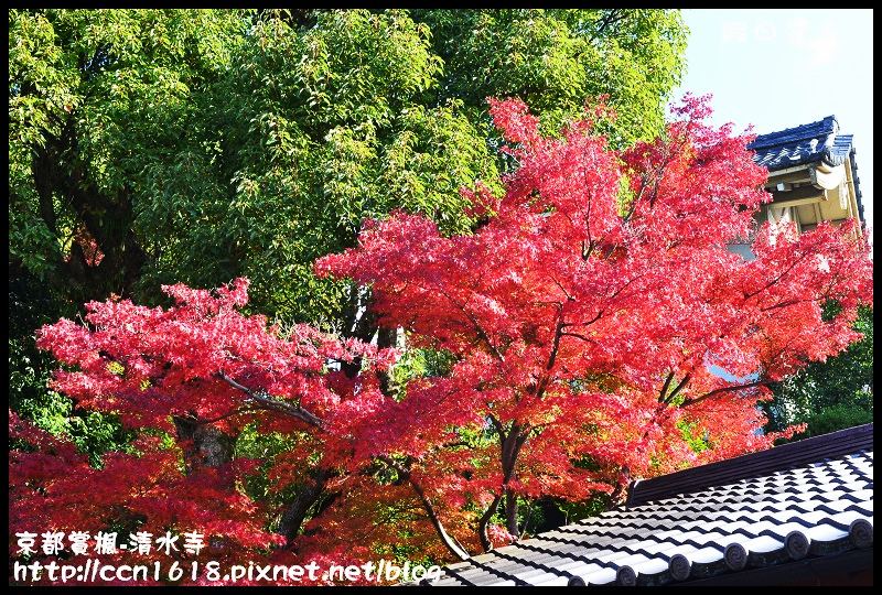 【日本旅遊】京都大阪賞楓自由行‧清水寺‧楓起雲湧 @假日農夫愛趴趴照