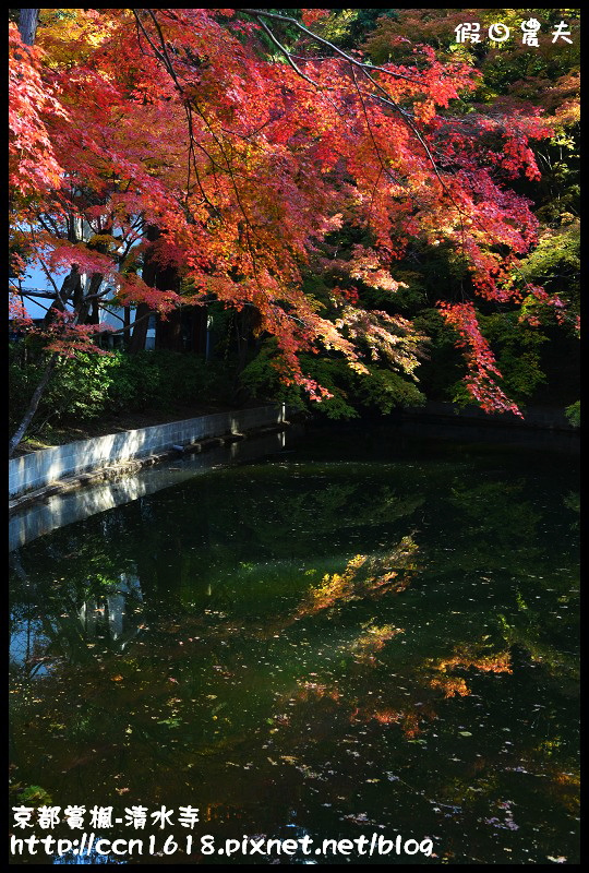 【日本旅遊】京都大阪賞楓自由行‧清水寺‧楓起雲湧 @假日農夫愛趴趴照