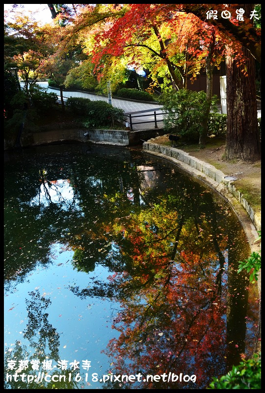 【日本旅遊】京都大阪賞楓自由行‧清水寺‧楓起雲湧 @假日農夫愛趴趴照