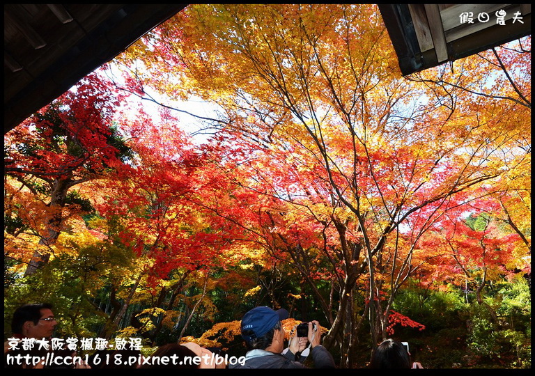 【日本旅遊】京都大阪賞楓自由行‧啟程‧睡在關西機場 @假日農夫愛趴趴照