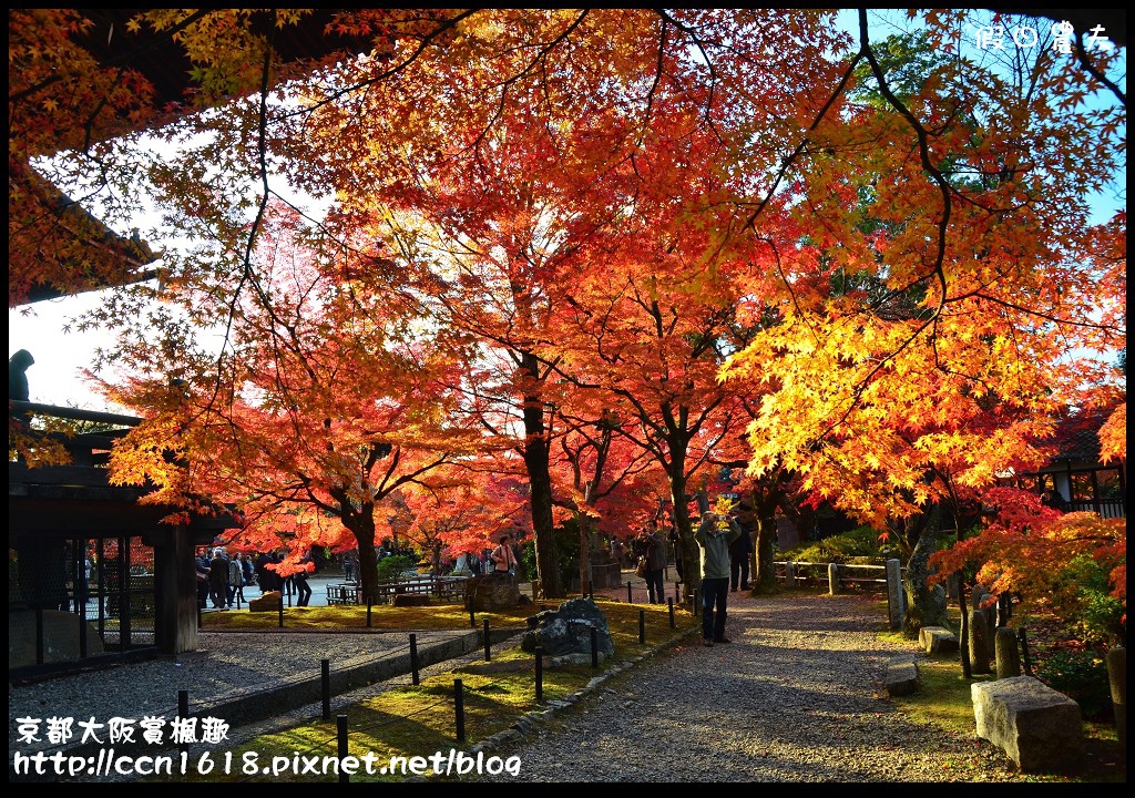 【日本旅遊】京都大阪賞楓自由行‧行程規劃篇/東福寺/清水寺/永觀堂/嵐山/常寂光寺/金龍寺/楓葉/紅葉名所 @假日農夫愛趴趴照