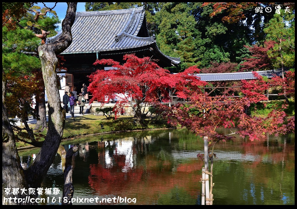 【日本旅遊】京都大阪賞楓自由行‧行程規劃篇/東福寺/清水寺/永觀堂/嵐山/常寂光寺/金龍寺/楓葉/紅葉名所 @假日農夫愛趴趴照