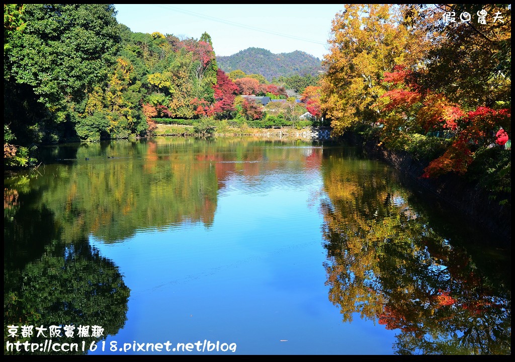 【日本旅遊】京都大阪賞楓自由行‧行程規劃篇/東福寺/清水寺/永觀堂/嵐山/常寂光寺/金龍寺/楓葉/紅葉名所 @假日農夫愛趴趴照