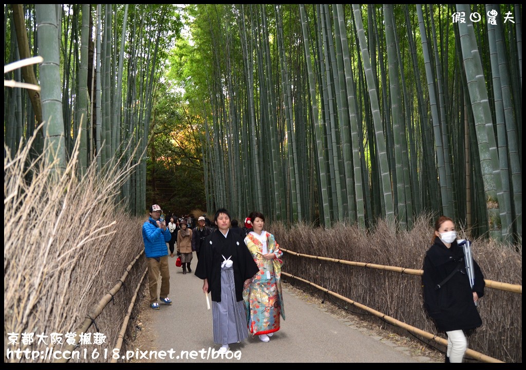 【日本旅遊】京都大阪賞楓自由行‧行程規劃篇/東福寺/清水寺/永觀堂/嵐山/常寂光寺/金龍寺/楓葉/紅葉名所 @假日農夫愛趴趴照