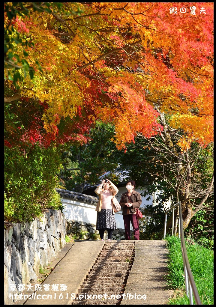 【日本旅遊】京都大阪賞楓自由行‧行程規劃篇/東福寺/清水寺/永觀堂/嵐山/常寂光寺/金龍寺/楓葉/紅葉名所 @假日農夫愛趴趴照