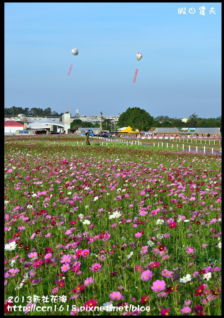 【農夫愛賞花】2013新社花海＆臺中國際花毯節 @假日農夫愛趴趴照