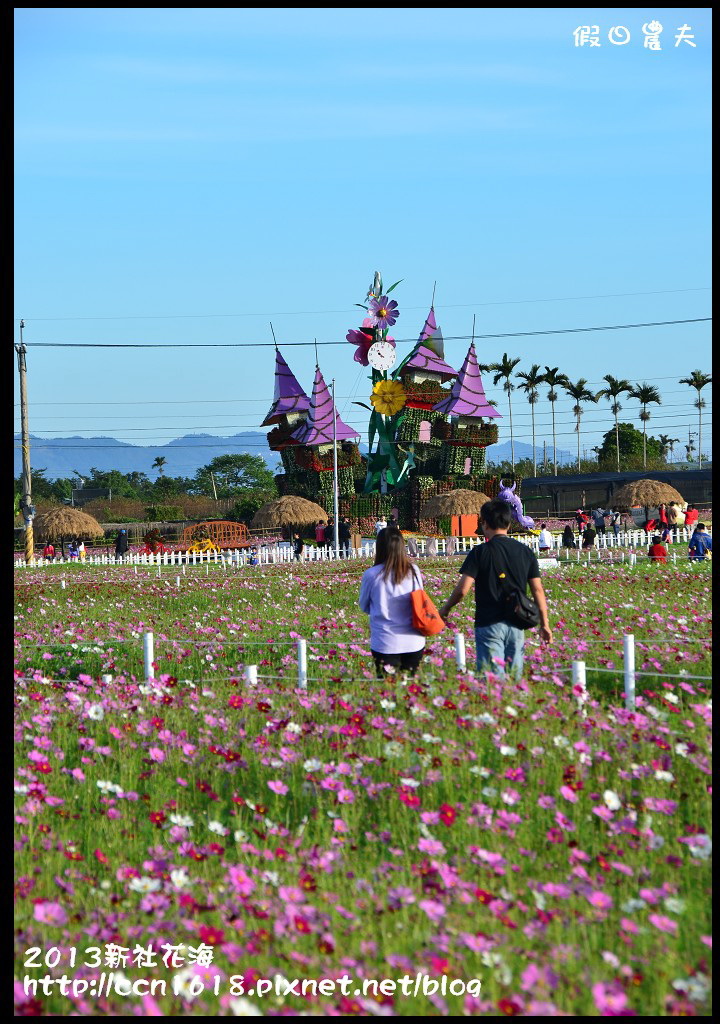 【農夫愛賞花】2013新社花海＆臺中國際花毯節 @假日農夫愛趴趴照