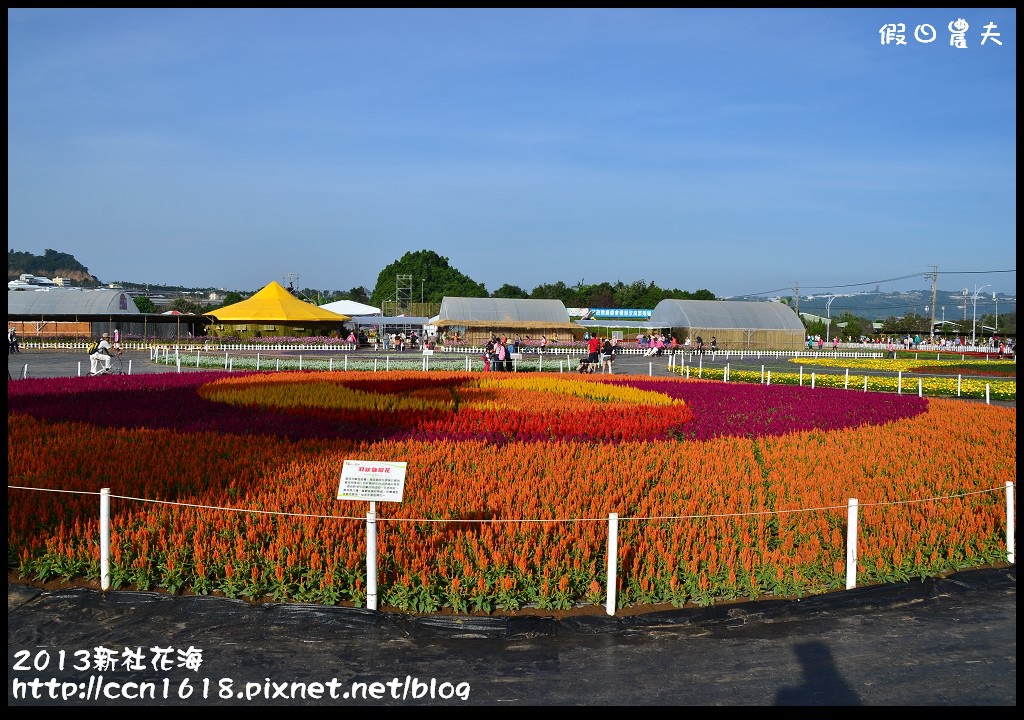 【農夫愛賞花】2013新社花海＆臺中國際花毯節 @假日農夫愛趴趴照