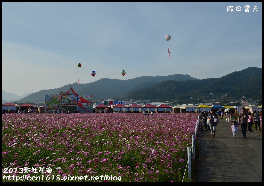 【農夫愛賞花】2013新社花海＆臺中國際花毯節 @假日農夫愛趴趴照