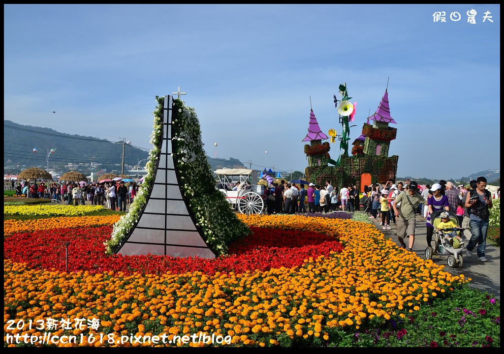 【農夫愛賞花】2013新社花海＆臺中國際花毯節 @假日農夫愛趴趴照