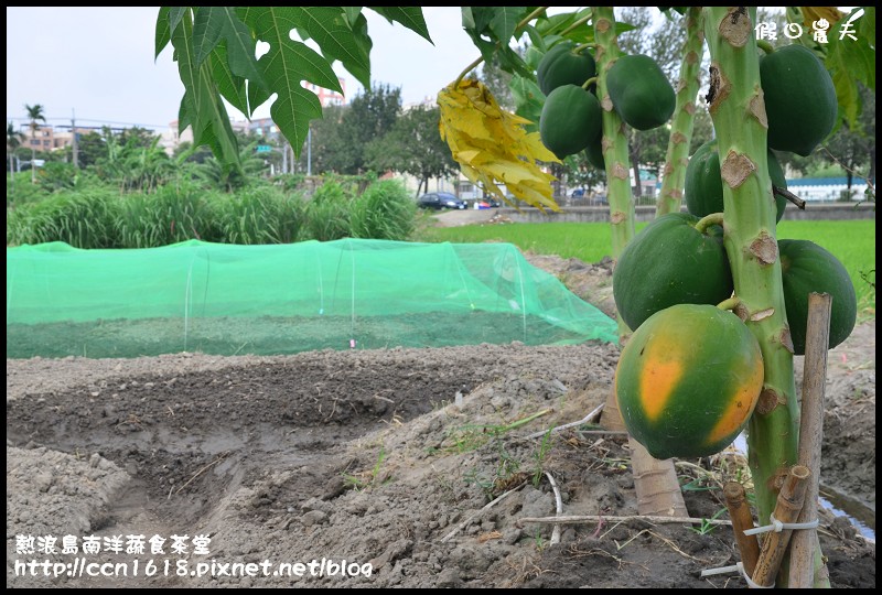 【台中美食】熱浪島南洋蔬食茶堂‧週年慶活動開跑 @假日農夫愛趴趴照