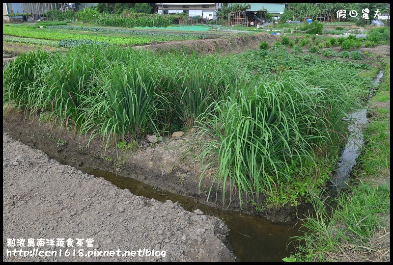 【台中美食】熱浪島南洋蔬食茶堂‧週年慶活動開跑 @假日農夫愛趴趴照