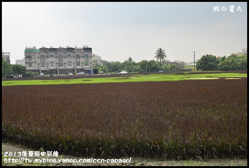 【活動快報】2013台南好米嘉年華會‧台南後壁區稻田彩繪 @假日農夫愛趴趴照