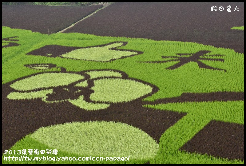 【活動快報】2013台南好米嘉年華會‧台南後壁區稻田彩繪 @假日農夫愛趴趴照