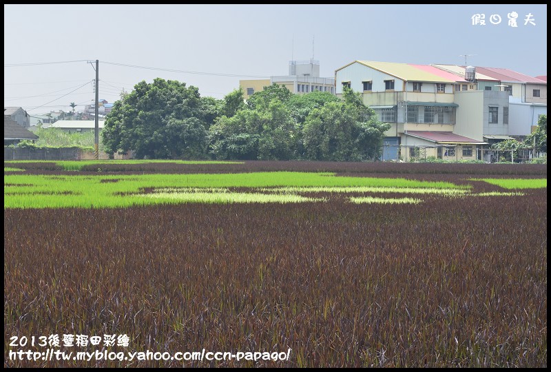 【活動快報】2013台南好米嘉年華會‧台南後壁區稻田彩繪 @假日農夫愛趴趴照