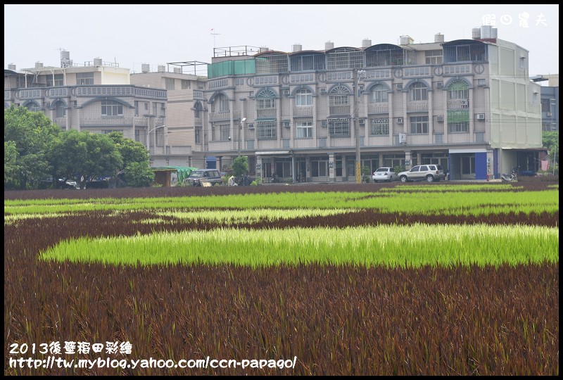 【活動快報】2013台南好米嘉年華會‧台南後壁區稻田彩繪 @假日農夫愛趴趴照