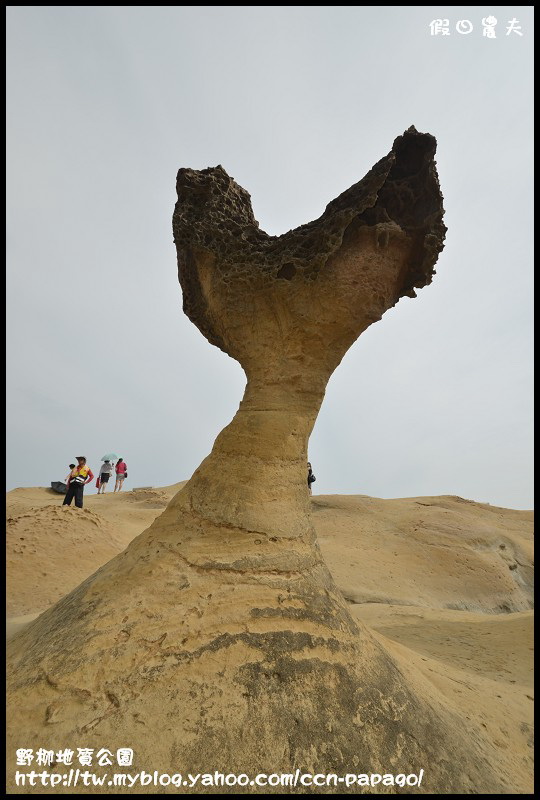 【台北旅遊】大自然的雕刻家‧野柳地質公園 @假日農夫愛趴趴照