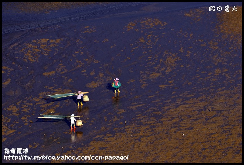 【攝影】灘塗之美‧福建霞浦‧中國最美麗的灘塗 @假日農夫愛趴趴照