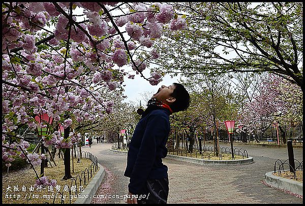 【大阪親子自由行】第一次日本自助旅遊就上手‧大阪造幣局櫻花隧道(櫻花百選) @假日農夫愛趴趴照