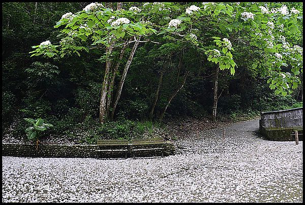 【一桐來做客】一期一會‧挑水古道 @假日農夫愛趴趴照