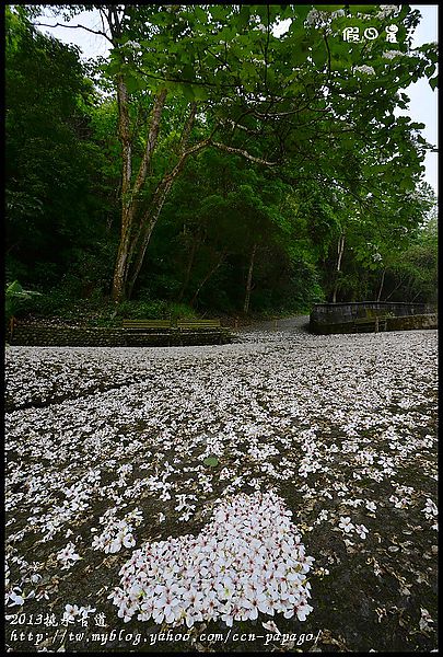 【一桐來做客】一期一會‧挑水古道 @假日農夫愛趴趴照