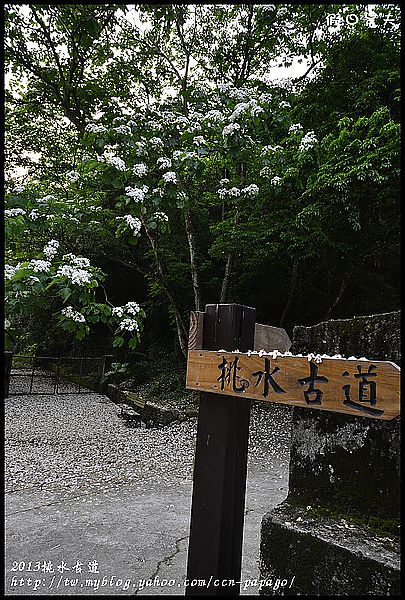 【一桐來做客】一期一會‧挑水古道 @假日農夫愛趴趴照