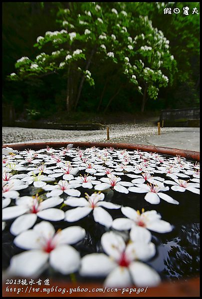 【一桐來做客】一期一會‧挑水古道 @假日農夫愛趴趴照