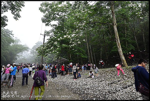 【一桐來做客】一期一會‧挑水古道 @假日農夫愛趴趴照