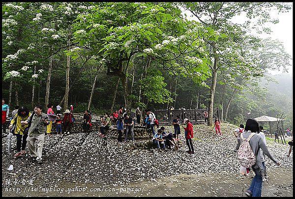 【一桐來做客】一期一會‧挑水古道 @假日農夫愛趴趴照